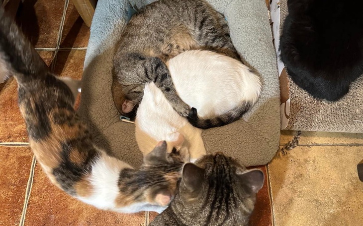 Zbiórka Na przetrwanie kwietnia 2024 - zdjęcie główne