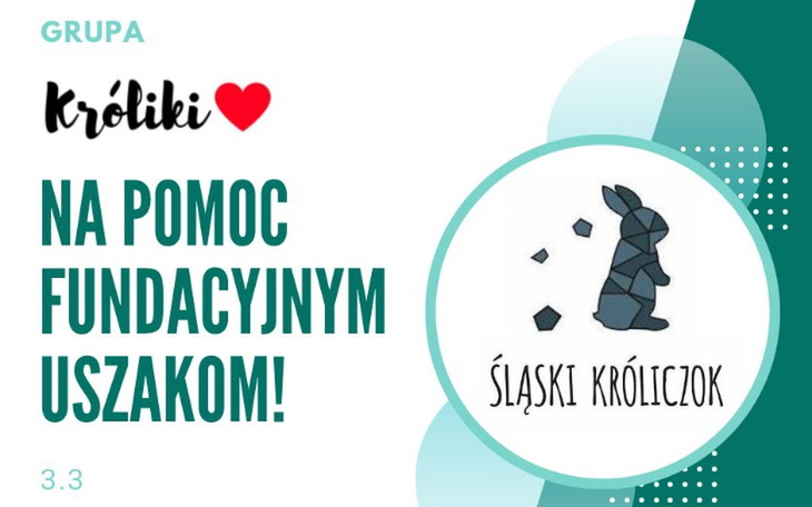 Zbiórka Króliki<3 na pomoc Śląskiemu SPK - zdjęcie główne