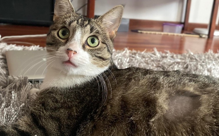 Zbiórka Filemon i nieuleczalne IBD - zdjęcie główne