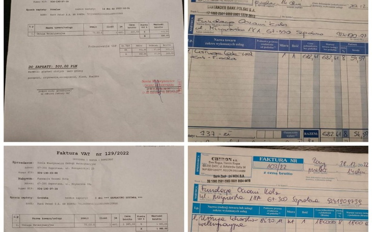 Zbiórka Grudniowe faktury fundacji - zdjęcie główne