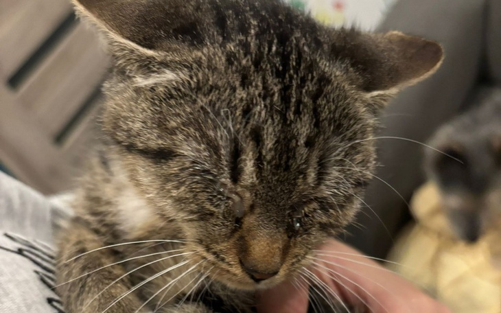 Zbiórka Mój wzrok... to dla mnie wszystk - zdjęcie główne