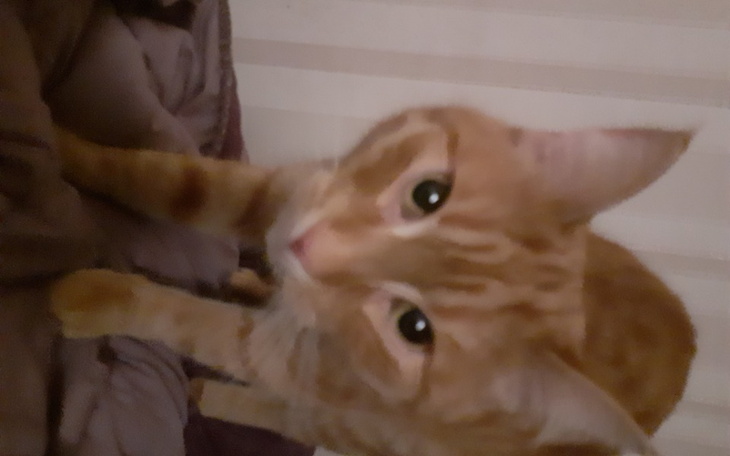 Zbiórka Wynajem mieszkania w Kaliszu - zdjęcie główne