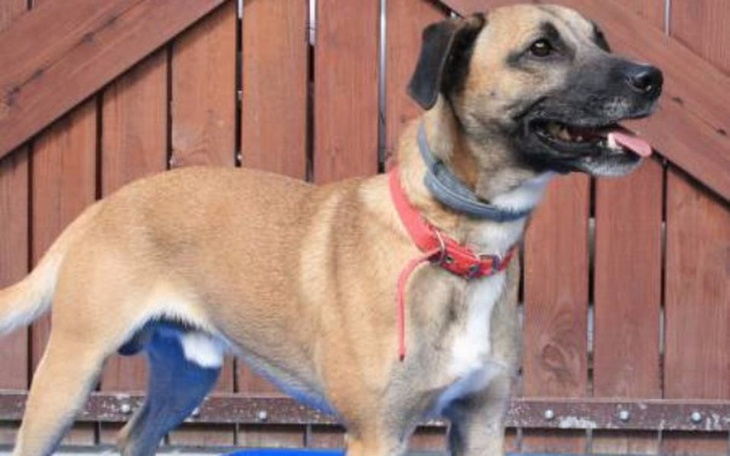 Zbiórka Hotel dla Rokiego - zdjęcie główne