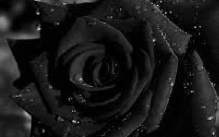 Zbiórka Na jedną ratę kredytu - zdjęcie główne