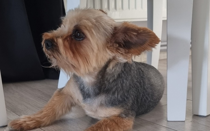 Zbiórka Operacja Fatmy - zdjęcie główne