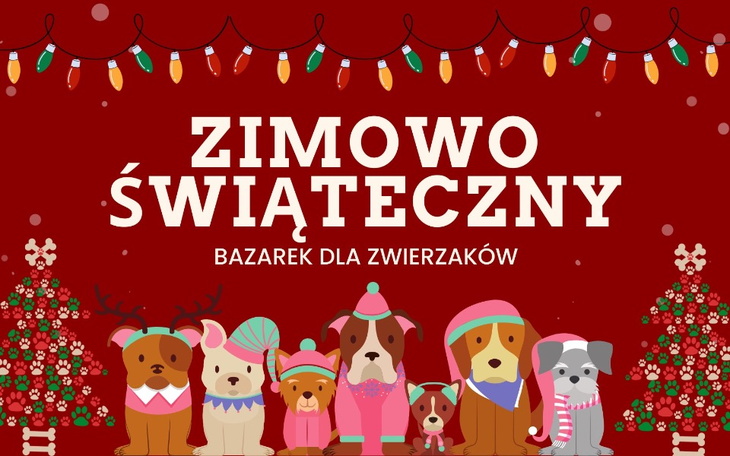 Zbiórka Zimowo Świąteczny Bazarek - zdjęcie główne