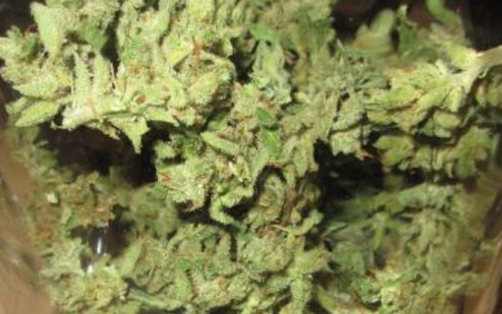 Zbiórka Na dyche panczu. - zdjęcie główne