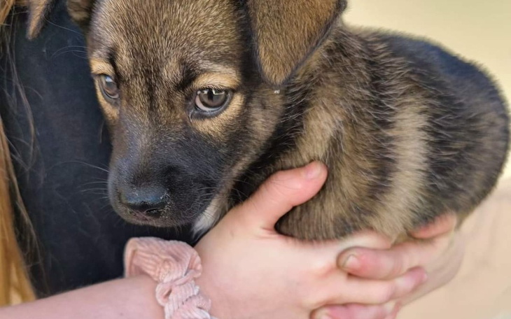 Zbiórka Niech jadą po nowe życie. - zdjęcie główne