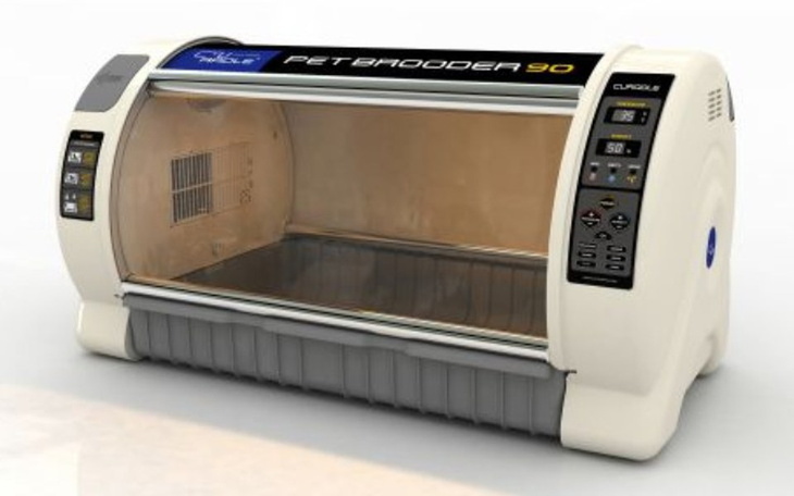 Zbiórka Inkubator dla Jagodzianek - zdjęcie główne