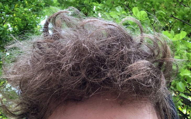 Zbiórka Dom do zabawy w chowanego - zdjęcie główne