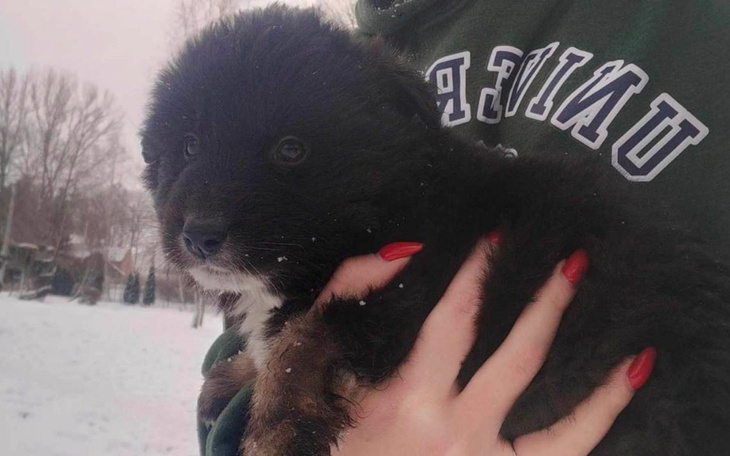 Zbiórka Na spełnienie marzenia D - zdjęcie główne