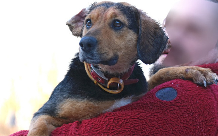 Zbiórka Nela - my ciebie już nie chcemy - zdjęcie główne