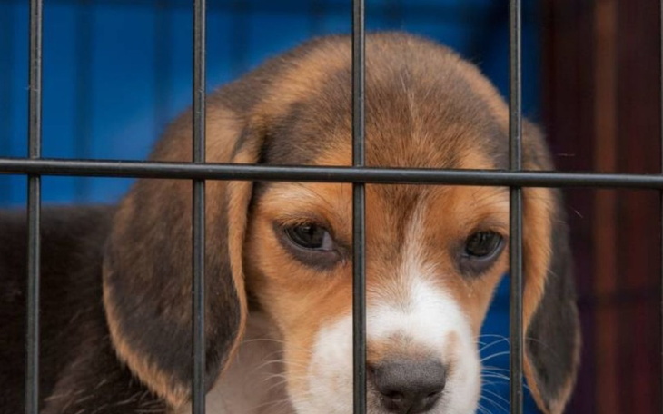 Zbiórka Młoda mama. - zdjęcie główne