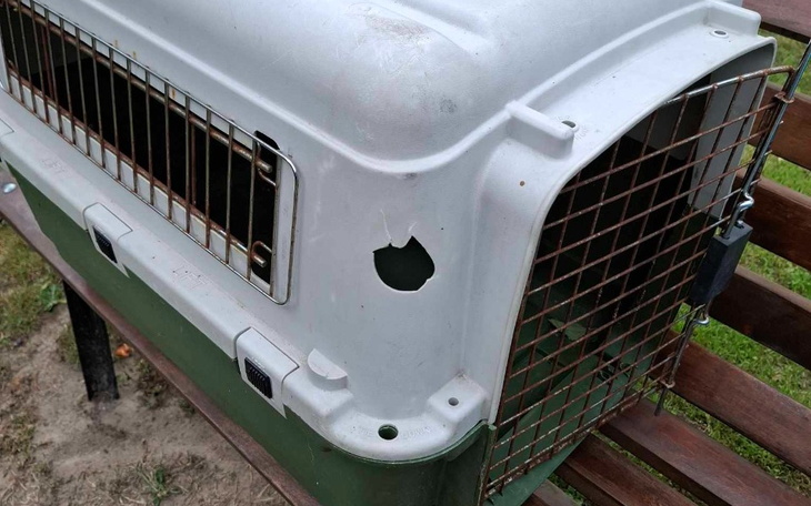 Uszkodzona klatka dla zwierząt na ławce.