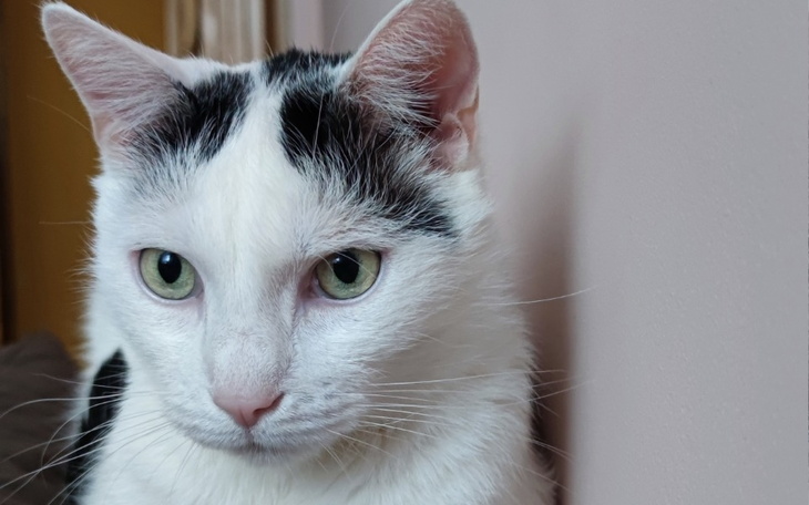 Zbiórka Na nowy początek ZK - zdjęcie główne