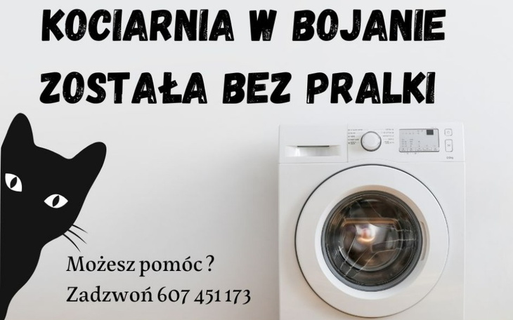 Zbiórka Pralka dla kociarni w Bojanie - zdjęcie główne