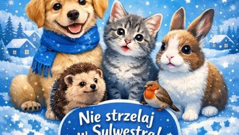 Zbiórka 2026 zamiast huku wsparcie TOZ - miniaturka zdjęcia