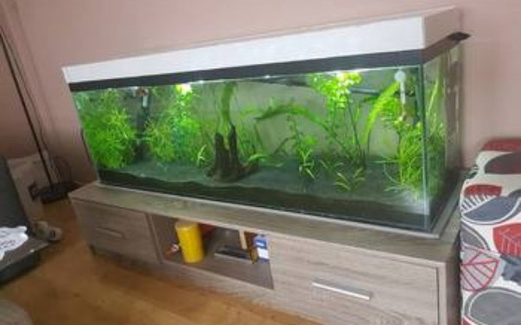 Zbiórka Zbieram na akwarium 400L - zdjęcie główne