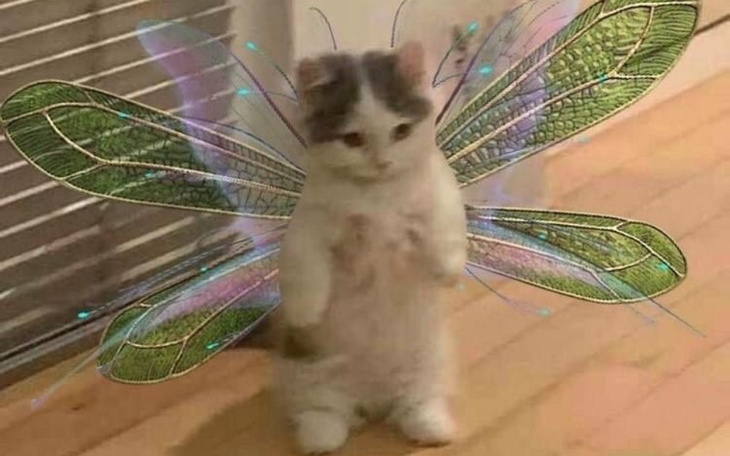 Zbiórka bo tak,... - zdjęcie główne