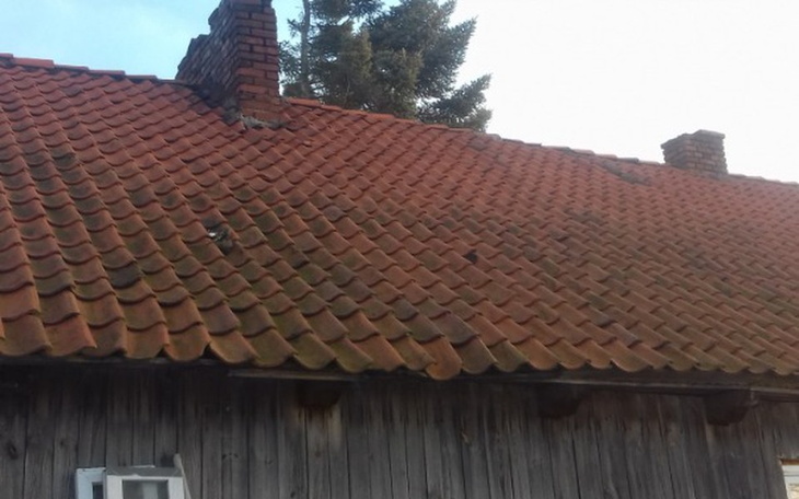 Zbiórka Zbiorka na dach i poddasze - zdjęcie główne