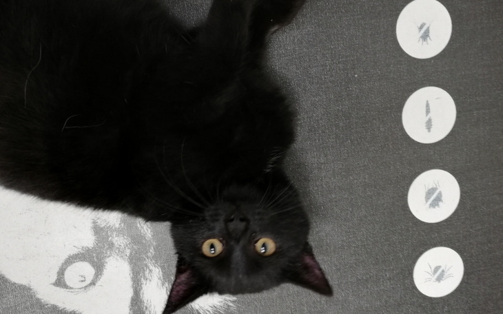 Zbiórka Jakie leki dla mnie - zdjęcie główne