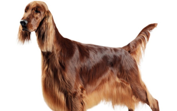 Zbiórka Na długi bo się zadluzylem - zdjęcie główne