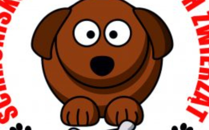 Zbiórka Na schronisko ciapkowo - zdjęcie główne