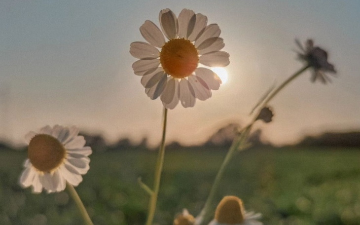 Zbiórka Pomoc dla osiedlowego sklepu - zdjęcie główne
