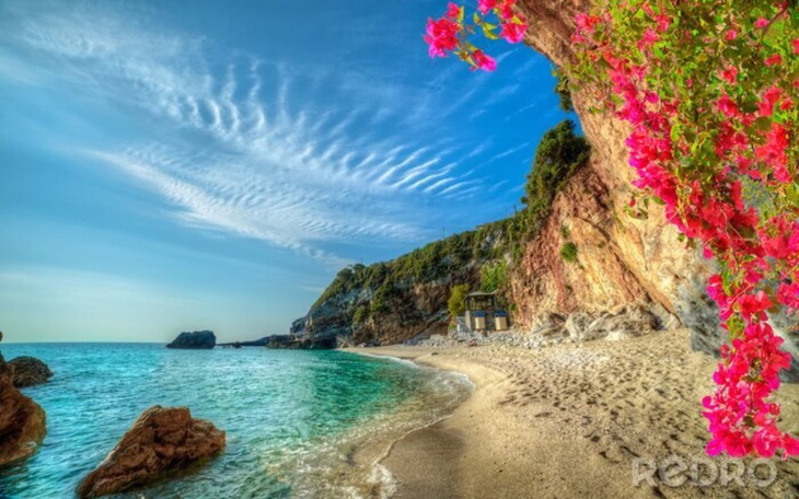 Zbiórka marzenia od lat.. - zdjęcie główne