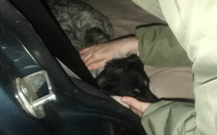 Zbiórka Tola umierała na cmentarzu - zdjęcie główne