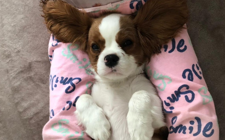 Zbiórka Uratuj mój wzrok - mam 5 msc - zdjęcie główne