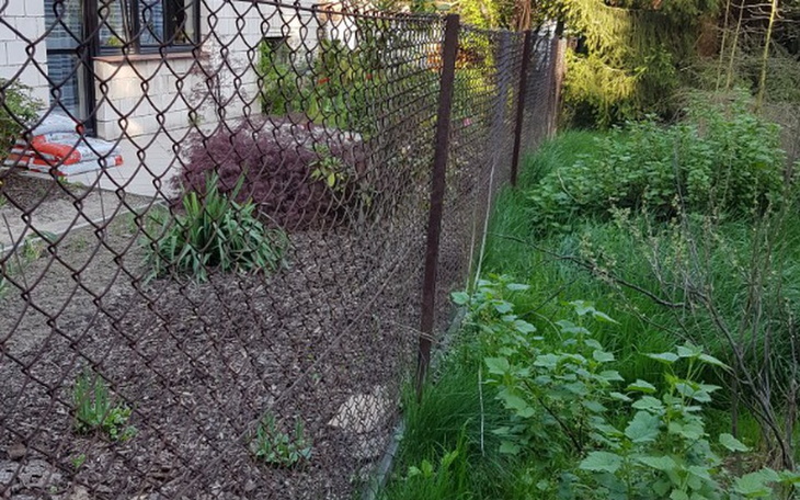 Zbiórka Na ogrodzenie wybiegu dla psów - zdjęcie główne