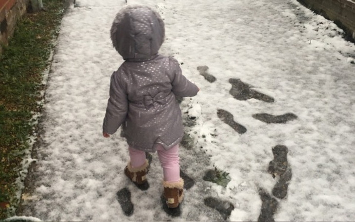 Zbiórka Kanapa dla siostry - zdjęcie główne