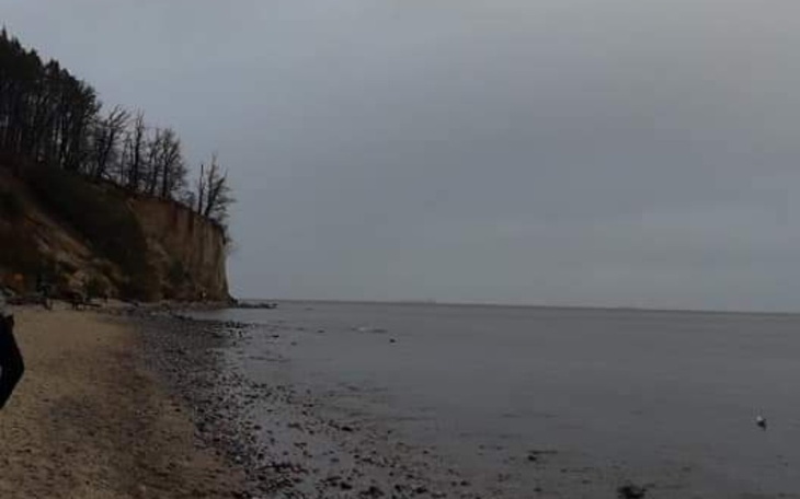 Zbiórka Sprzet komputerowy dla niedowidz - zdjęcie główne