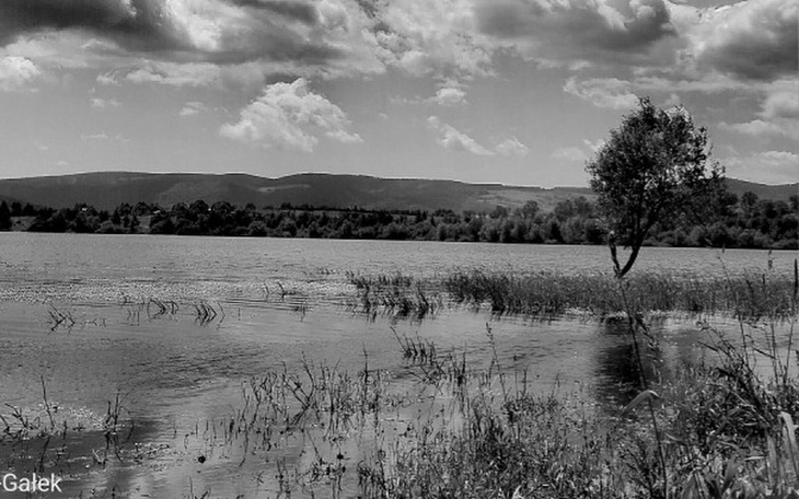 Zbiórka Fotograficzne marzenia - zdjęcie główne