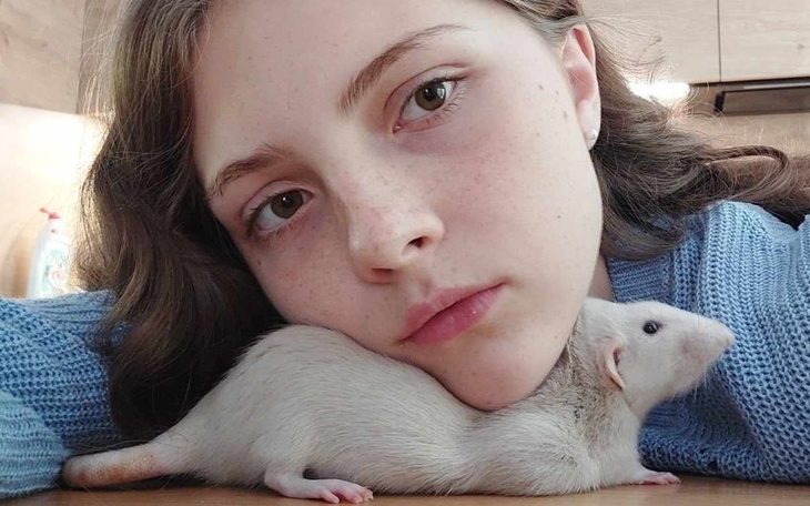 Zbiórka Leczenie szczurka Yachi - zdjęcie główne