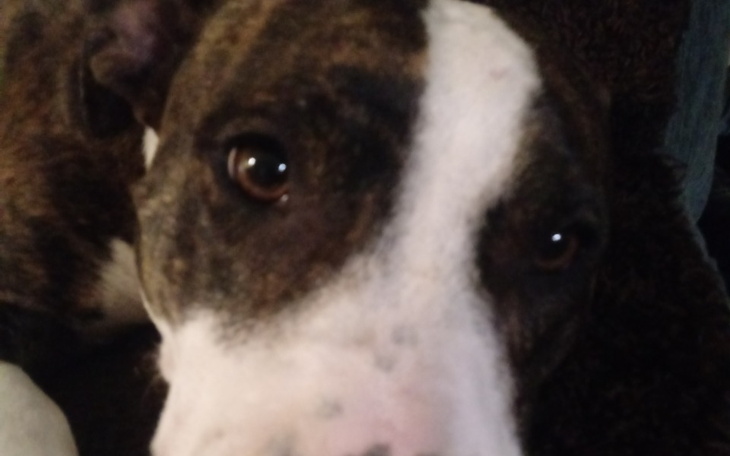 Zbiórka Grosz do grosza na Computro-sza - zdjęcie główne