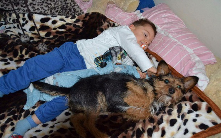 Zbiórka Sprowadźmy Toto dla Przemka - zdjęcie główne