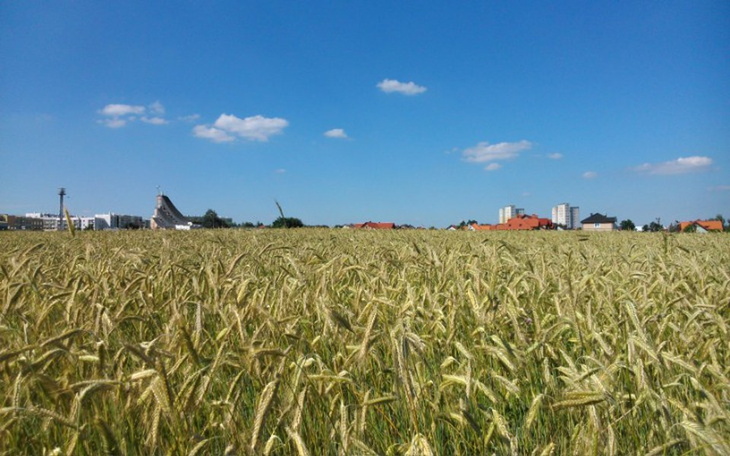 Zbiórka Schronienie chociażby niewielkie - zdjęcie główne