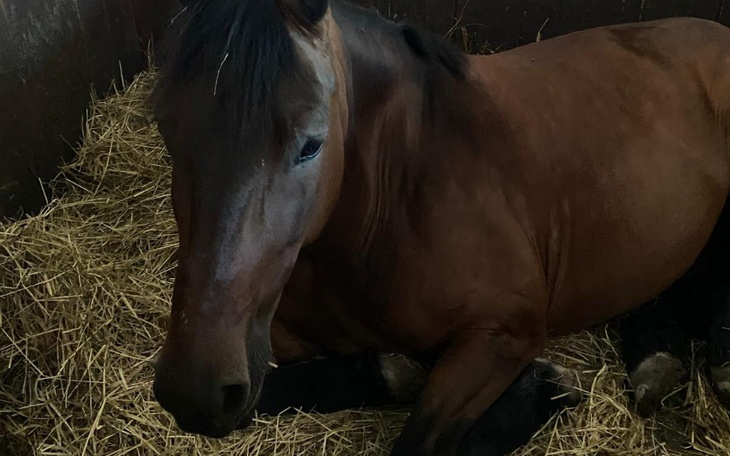 Zbiórka Zbieram na najskrytsze marzenie - zdjęcie główne