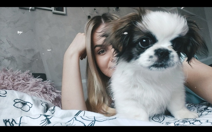 Zbiórka Na operację dla Lucky - zdjęcie główne