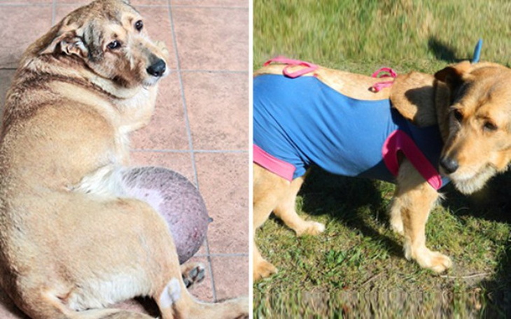 Zbiórka Ambulatorium dla pokrzywdzonych! - zdjęcie główne