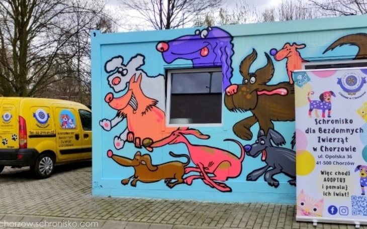Kolorowa ściana z rysunkami psów w schronisku dla zwierząt.