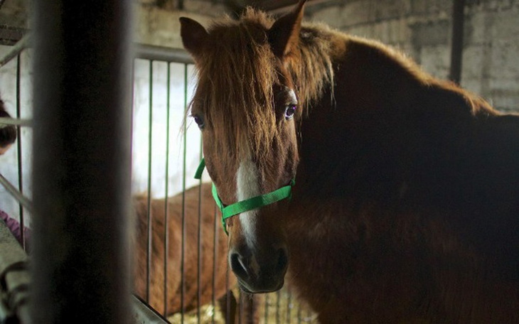 Zbiórka Cena życia Babci - zdjęcie główne