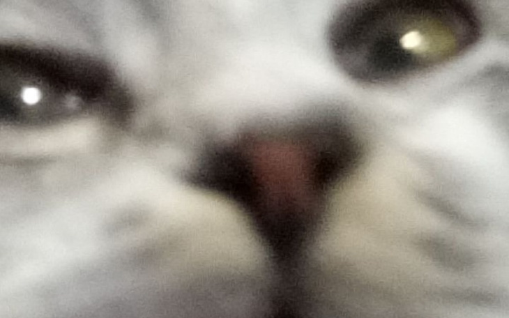 Zbiórka Na deske byczki i na gierki - zdjęcie główne