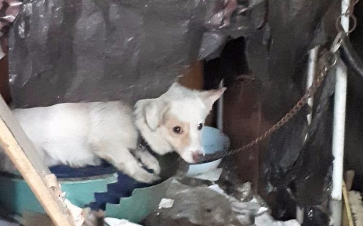 Zbiórka Dramatyczne odkrycie inspektorek - zdjęcie główne