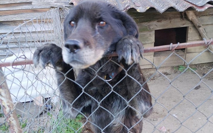 Zbiórka 10 lat w niewoli... - zdjęcie główne