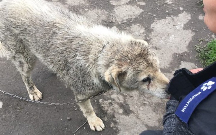 Zbiórka Głodne, spragnione i umierające! - zdjęcie główne