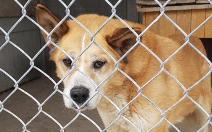 Zbiórka Pakita w potrzebie - zdjęcie główne