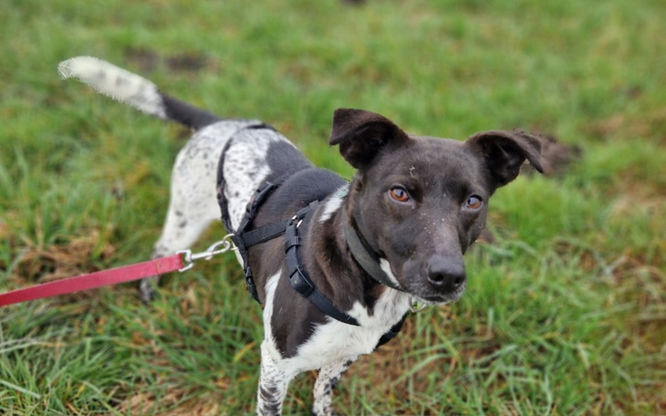Zbiórka Na pomoc dla Poli - zdjęcie główne